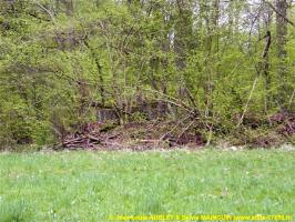Ligne Maginot - C3 - SCHMELZBACH 1 - (Blockhaus pour canon) - 