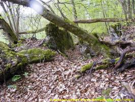 Ligne Maginot - C3 - SCHMELZBACH 1 - (Blockhaus pour canon) - 