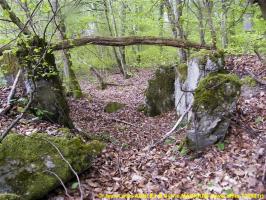 Ligne Maginot - C3 - SCHMELZBACH 1 - (Blockhaus pour canon) - 