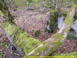 Ligne Maginot - C3 - SCHMELZBACH 1 - (Blockhaus pour canon) - 