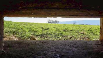 Ligne Maginot - SPIESS 1 - (Blockhaus pour arme infanterie) - Vue depuis le créneau mitrailleuse Nord-Est