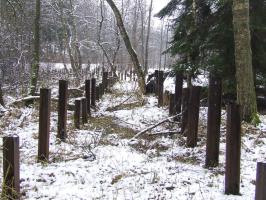 Ligne Maginot - TANNENBRUCK - POSTE GRM - (Poste GRM - Maison Forte) - Le réseau de rails anti-char