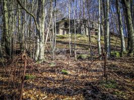 Ligne Maginot - TRAUTBACH CENTRE - (Blockhaus pour arme infanterie) - Réseaux toujours en place