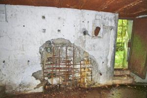 Ligne Maginot - TRAUTBACH OUEST - (Blockhaus pour arme infanterie) - Entrée
Goulotte à grenade et dégâts sur la façade