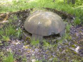 Ligne Maginot - DO1 - FOND D'HAVANGE - (Observatoire d'artillerie) - 