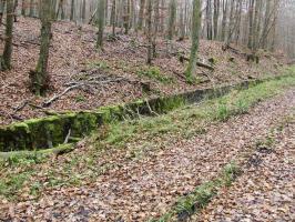 Ligne Maginot - VERLORENERBACH - (DMP - Dispositif de Mine Permanent) - La route stratégique vers le Four à Chaux