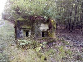 Ligne Maginot - VOEGELSMATT 1 (Blockhaus pour arme infanterie) - 