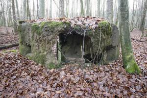 Ligne Maginot - M7 - VOEGELSMATT 2 - (Blockhaus pour arme infanterie) - 