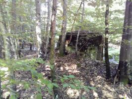 Ligne Maginot - FM25 - VOEGELSMATT 5 - (Blockhaus pour arme infanterie) - 