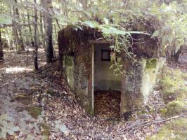 Ligne Maginot - FM25 - VOEGELSMATT 5 - (Blockhaus pour arme infanterie) - 