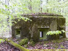 Ligne Maginot - FM20 - VOEGELSMATT 7 - (Blockhaus pour arme infanterie) - 