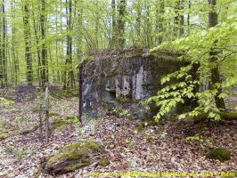 Ligne Maginot - FM20 - VOEGELSMATT 7 - (Blockhaus pour arme infanterie) - 