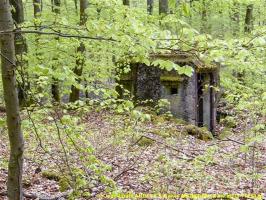 Ligne Maginot - FM20 - VOEGELSMATT 7 - (Blockhaus pour arme infanterie) - 