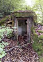 Ligne Maginot - FM17 - VOEGELSMATT 8 - (Blockhaus pour arme infanterie) - 