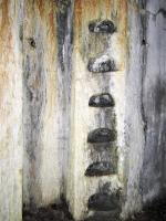 Ligne Maginot - WINDSTEIN - (Casemate d'infanterie - double) - Puits de la cloche JM est