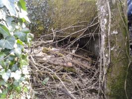 Ligne Maginot - Blockhaus Db45 - Mb3 - CHAMPS LATTES - Le créneau de tir perdu dans les arbres et buissons