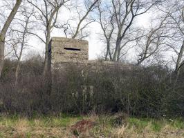 Ligne Maginot - B23 - NANCY - (Blockhaus pour arme infanterie) - Vue vers la Belgique - La Panne