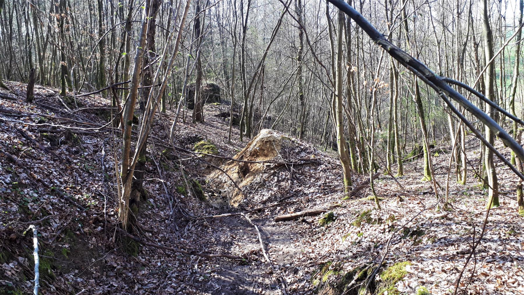 Ligne Maginot - HIRTENMATT 3 - (Blockhaus pour arme infanterie) - Le blockhaus a basculé dans le ravin
Hirtenmatt 1 est visible juste derrière
