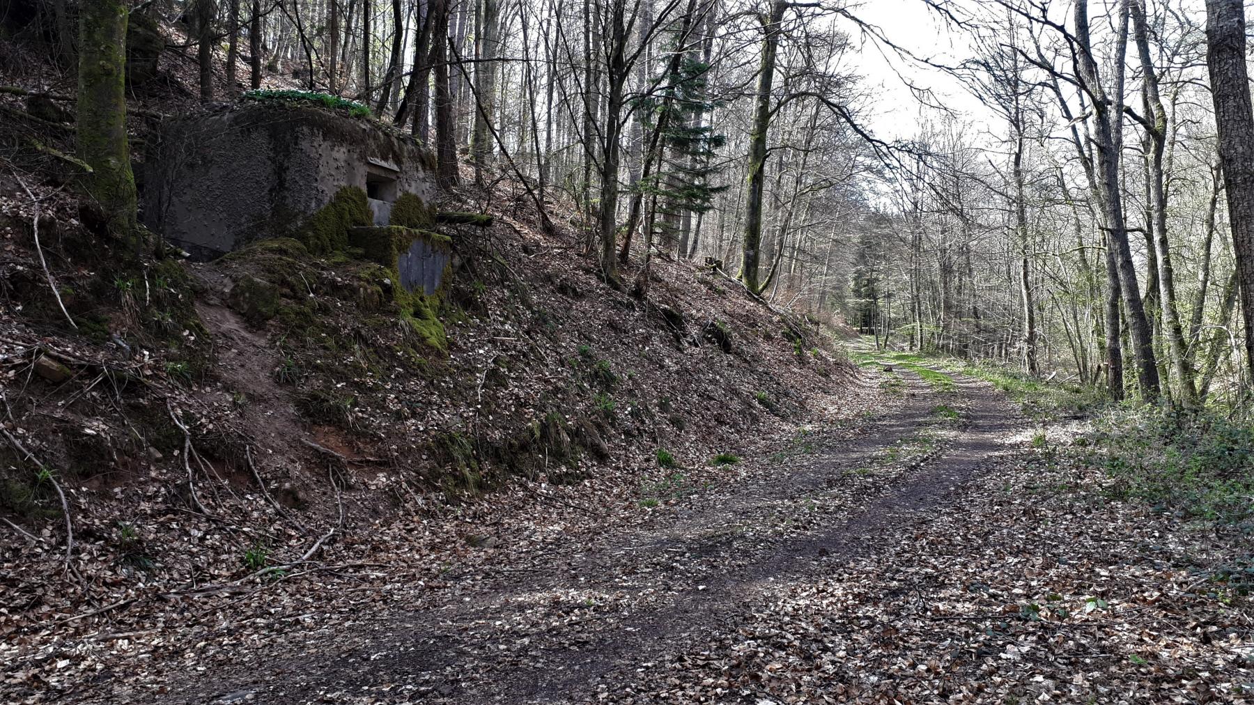 Ligne Maginot - M13 - NONNENHARDT OUEST 2 - (Blockhaus pour arme infanterie) - Le blockhaus barrant la vallée du Soutzbach. On distingue le blockhaus CORF de Saegemuhle au bout du chemin