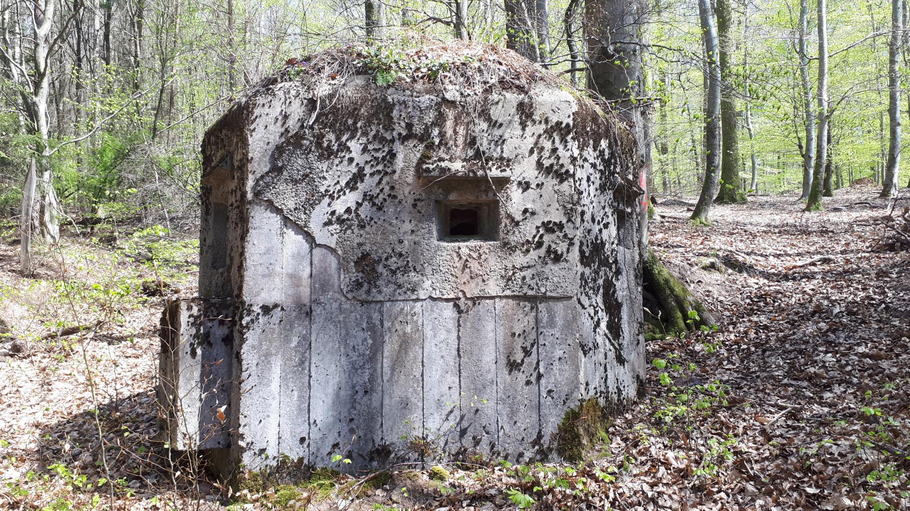 Ligne Maginot - FM45 - NONNENHARDT CENTRE 2 - (Blockhaus pour arme infanterie) - Créneau gauche - Gregory Fuchs