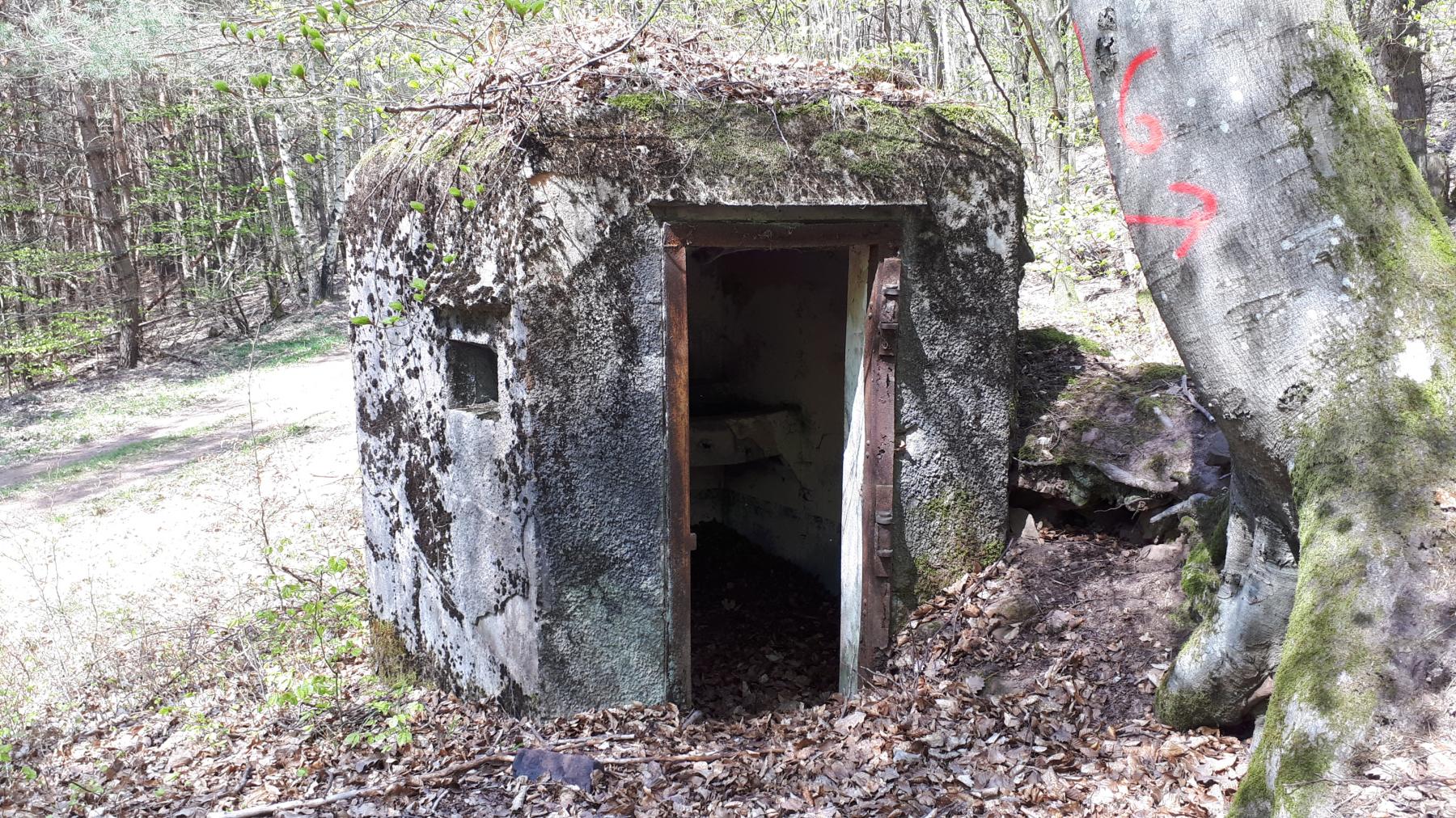 Ligne Maginot - FM45 - NONNENHARDT CENTRE 2 - (Blockhaus pour arme infanterie) - Entrée et créneau arrière gauche - Gregory Fuchs