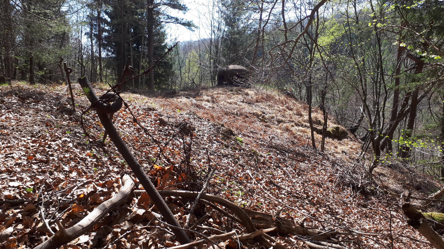 Ligne Maginot - NONNENHARDT N°1 - (Blockhaus pour arme infanterie) - Restes du réseau barbelés et cloche GFM