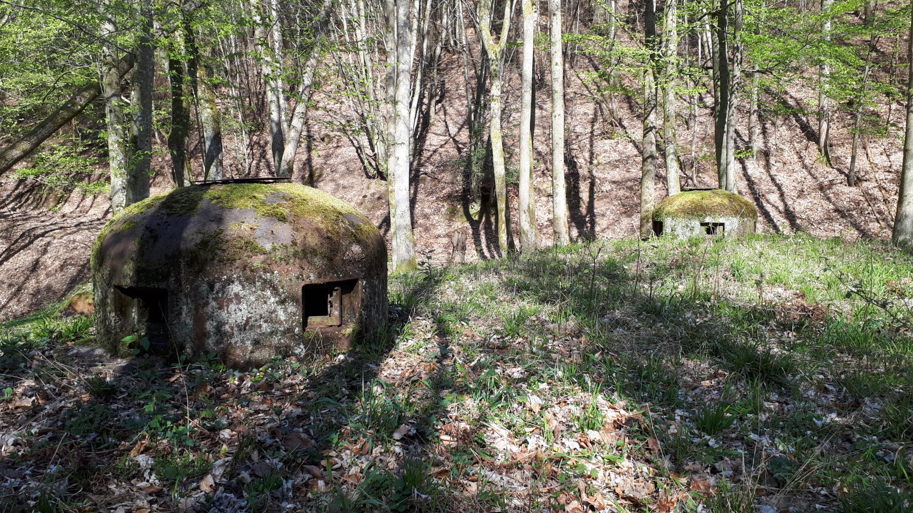 Ligne Maginot - TRAUTBACH OUEST - (Blockhaus pour arme infanterie) - Cloches GFM - Gregory Fuchs