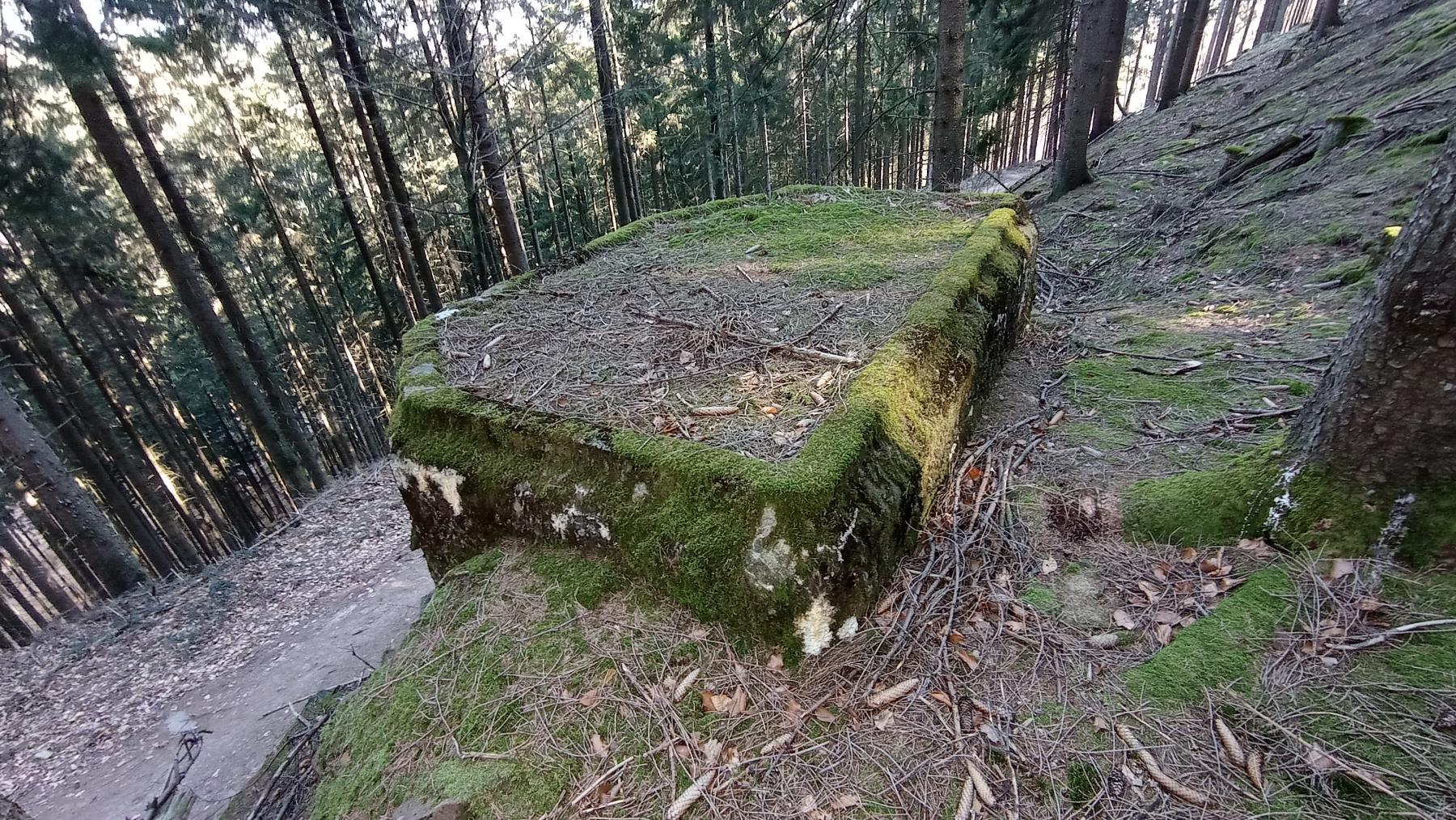 Ligne Maginot - FM77 - BETZENTHAL 4 - (Blockhaus pour arme infanterie) - Vue de la dalle - Baptiste GAUDIN