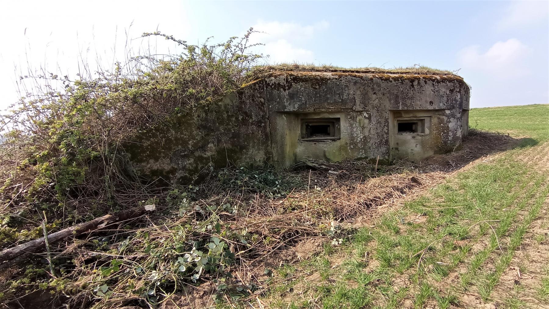 Ligne Maginot - BUCHHOLZERBERG EST - (Blockhaus pour arme infanterie) - Les deux créneaux pour mitrailleuses