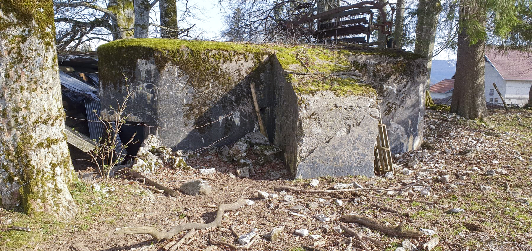 Ligne Maginot - B11 - LES LAILLETS OUEST - (Blockhaus pour arme infanterie) - 