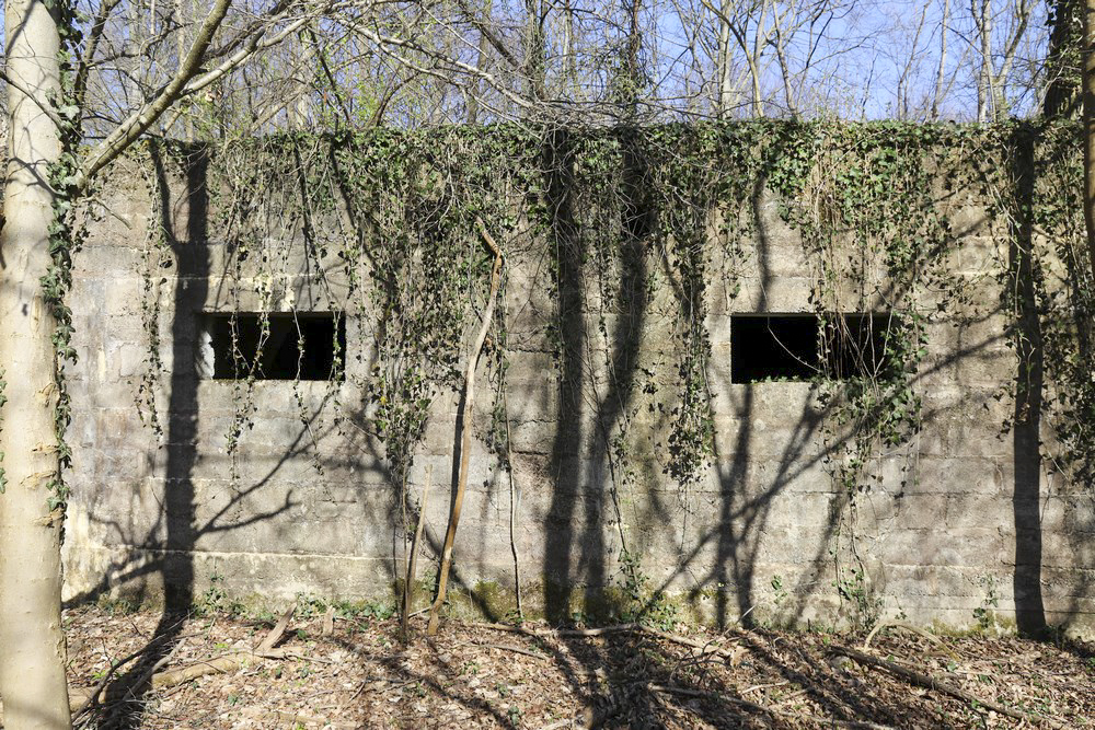 Ligne Maginot - RUHSAND - (Abri) - Vue arrière - Alain Perouffe