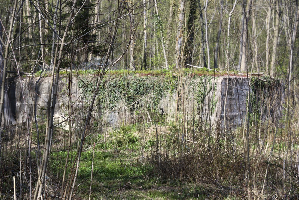 Ligne Maginot - OBERE MATTEN - (Abri) - Face sud