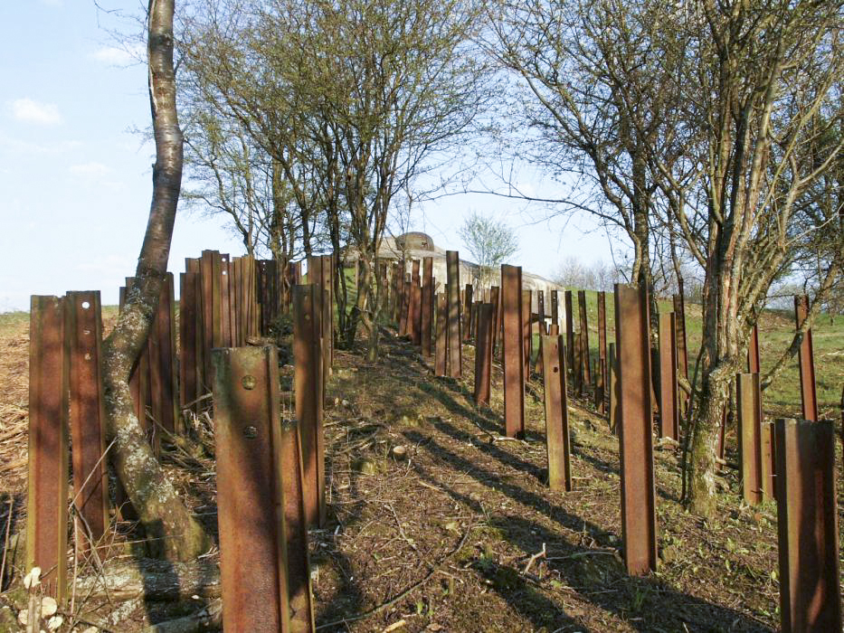 Ligne Maginot - FOUR A CHAUX - FAC - (Ouvrage d'artillerie) - Bloc 6
Réseau de rails antichar