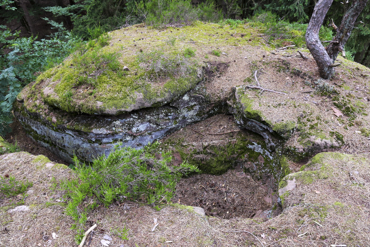 Ligne Maginot - WURZELKOPF (Observatoire d'artillerie) -  - Alain Perouffe