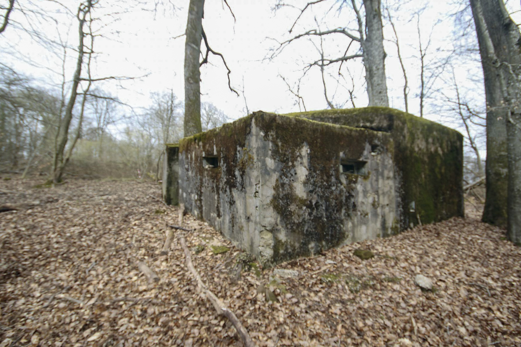 Ligne Maginot - KISSWALD 1 (AVANT POSTE) - (Blockhaus pour canon) -  - Les Bergers des Pierres_Michel & Philippe ZIMMER