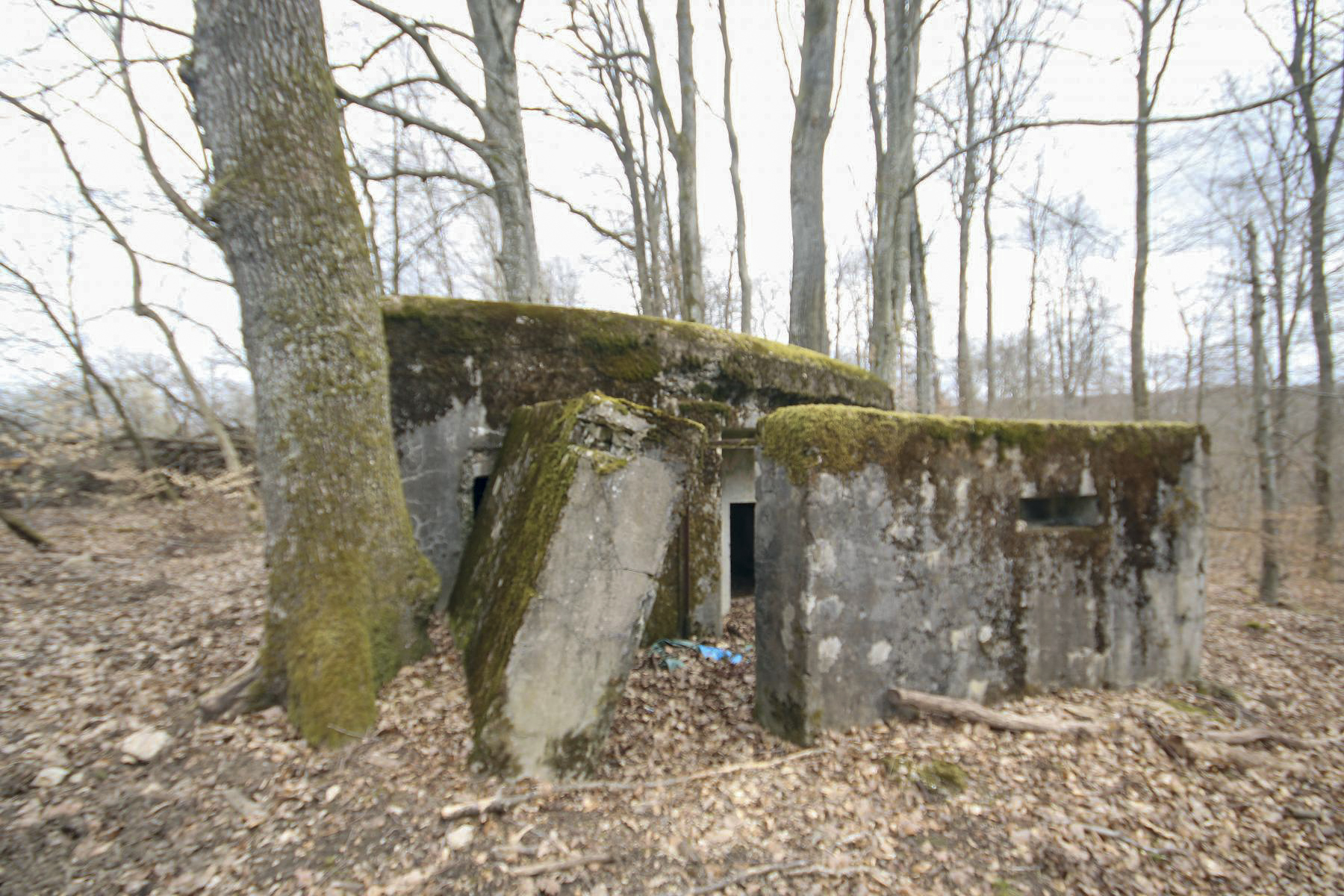 Ligne Maginot - KISSWALD 1 (AVANT POSTE) - (Blockhaus pour canon) - 