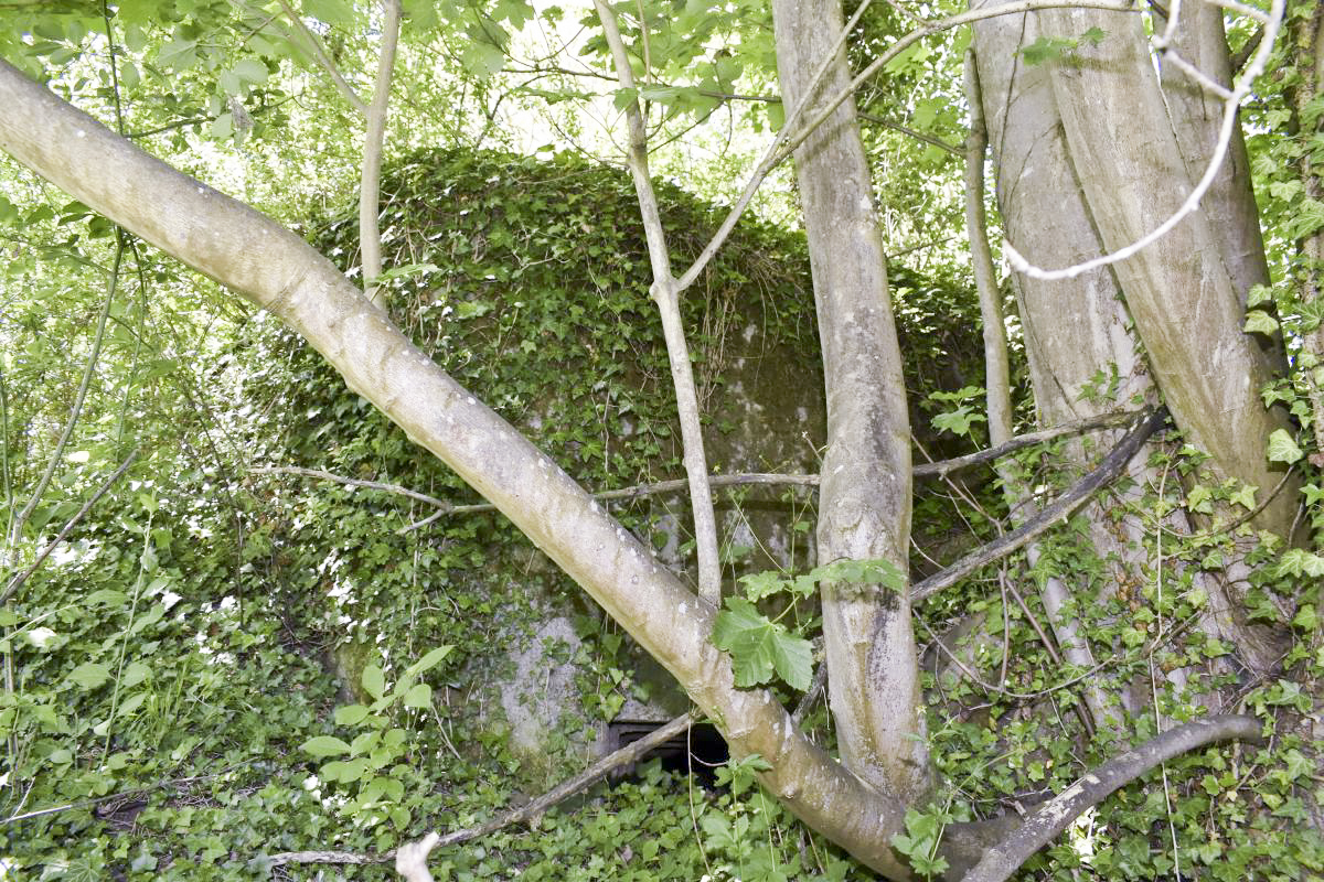 Ligne Maginot - KOETZINGUE 3 (Blockhaus pour arme infanterie) -  - D. Froehly