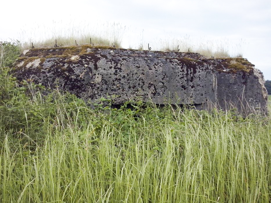 Ligne Maginot - ANDELSBERG 1 (Blockhaus pour arme infanterie) - 