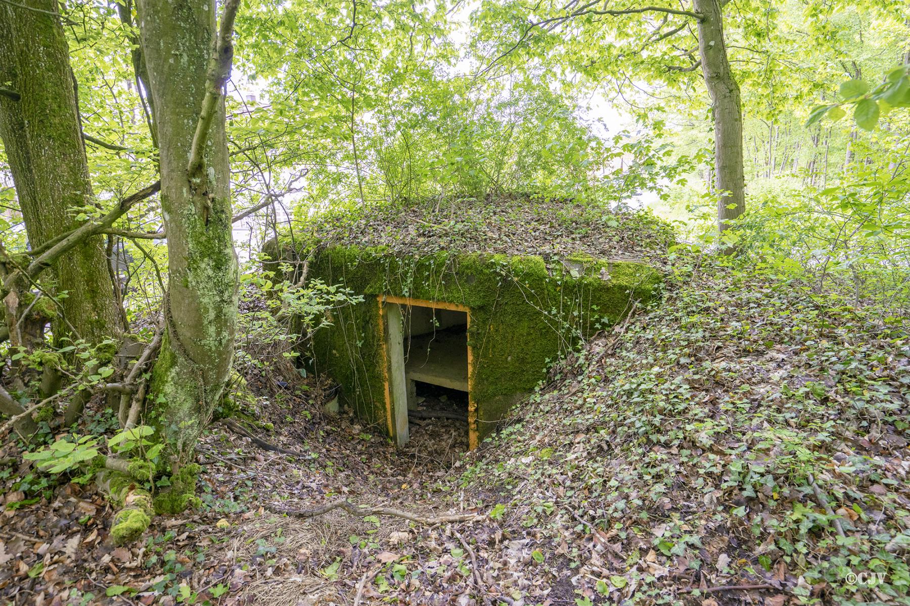 Ligne Maginot - M15 - BOIS DE LANGENSOULTZBACH 2 - (Blockhaus pour arme infanterie) - 