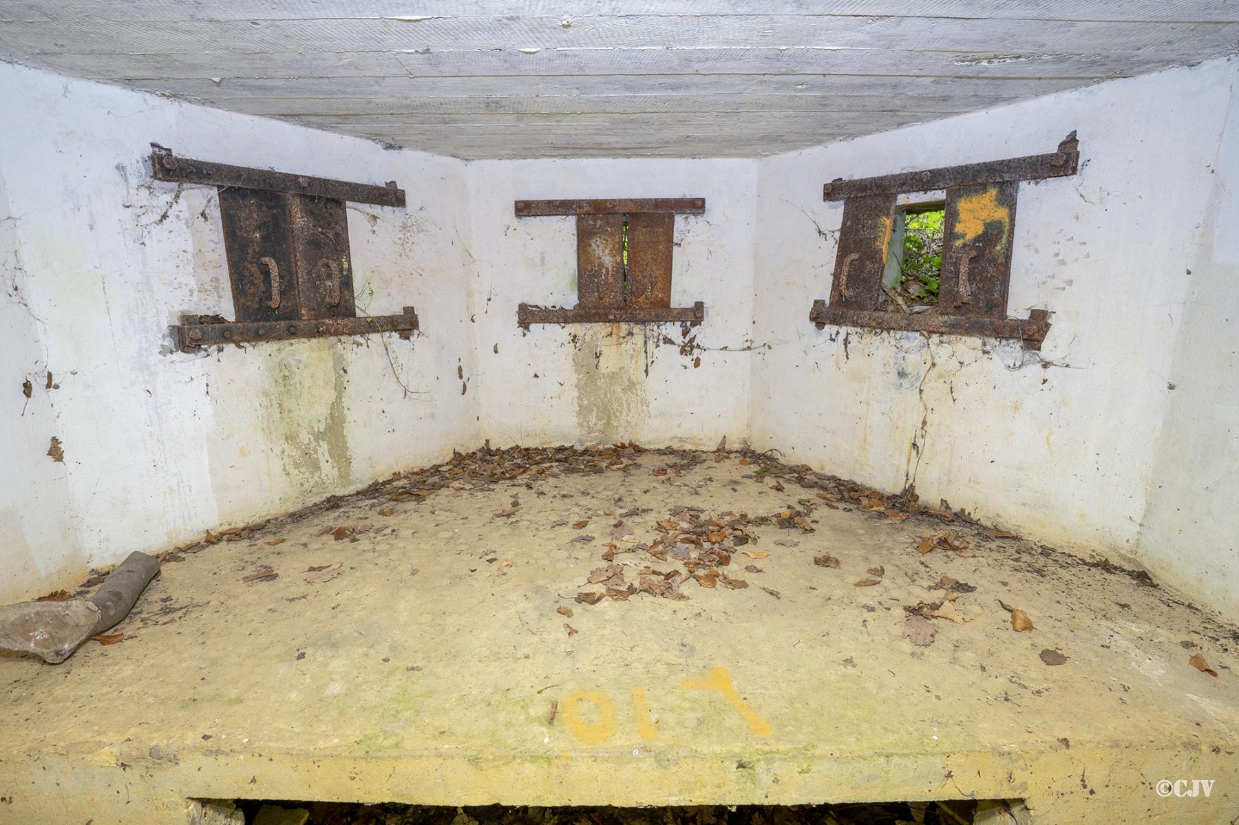 Ligne Maginot - M15 - BOIS DE LANGENSOULTZBACH 2 - (Blockhaus pour arme infanterie) - 