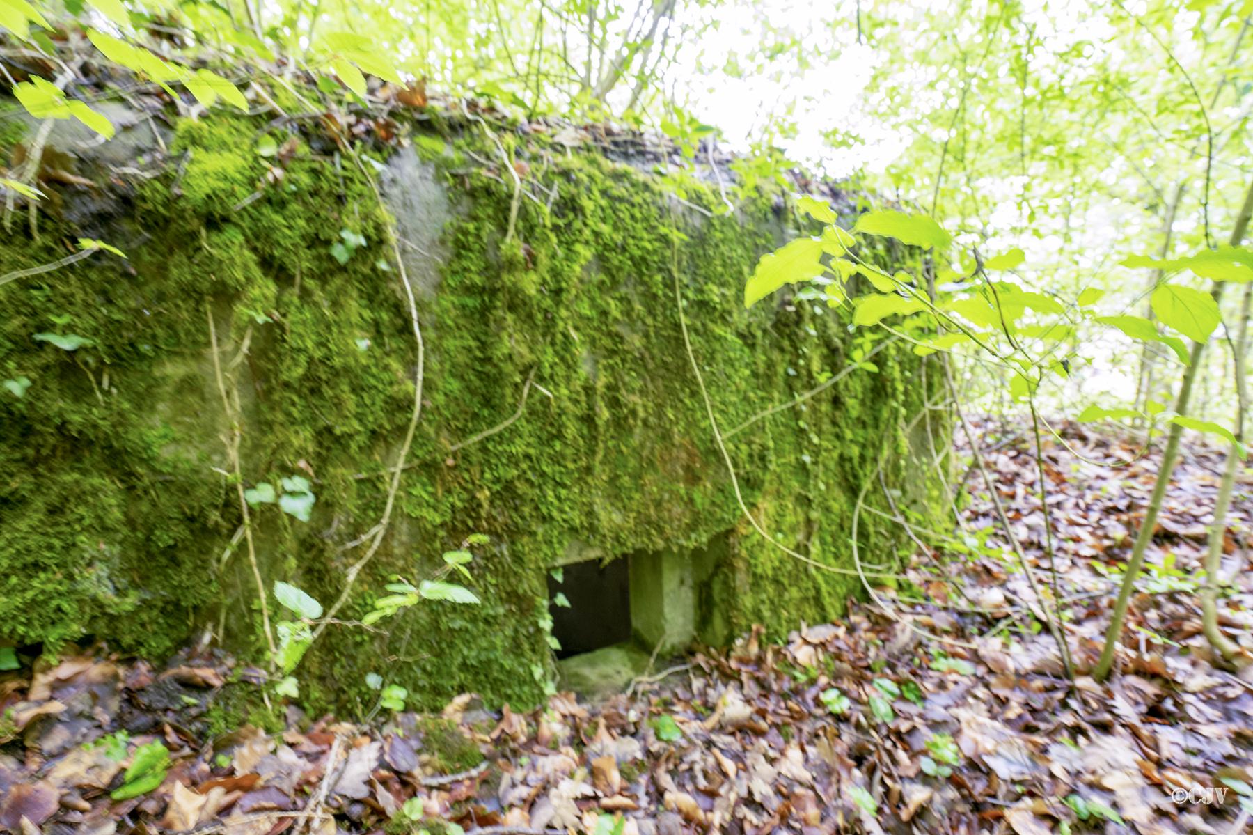 Ligne Maginot - FM64 - BOIS DE LANGENSOULTZBACH 3 - (Blockhaus pour arme infanterie) - 