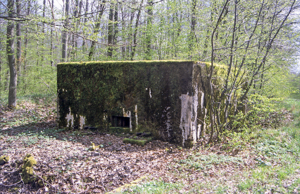 Ligne Maginot - CB246 - HELMREICH 1 - (Blockhaus pour arme infanterie) - Vue frontale du créneau mitrailleuse - Michel Teiten