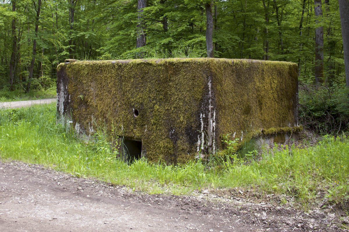 Ligne Maginot - CB246 - HELMREICH 1 - (Blockhaus pour arme infanterie) -  - Arnault JL Photo