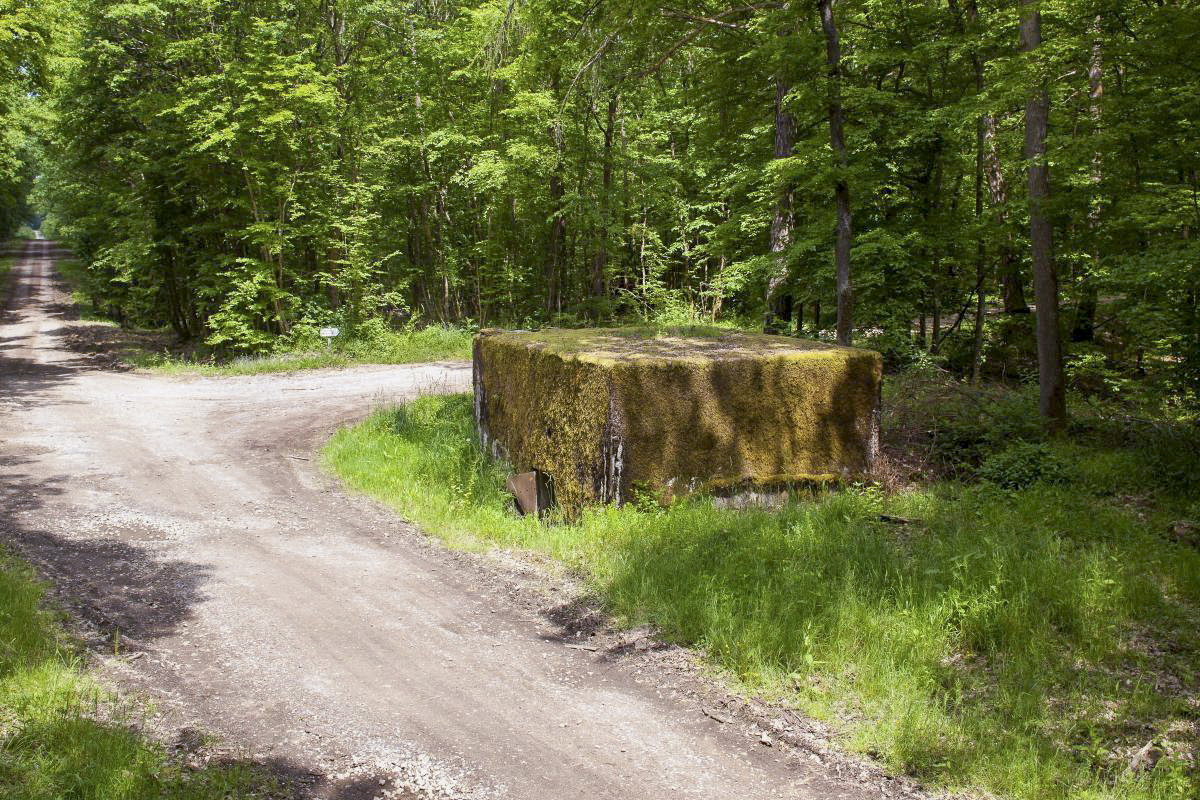 Ligne Maginot - CB246 - HELMREICH 1 - (Blockhaus pour arme infanterie) - Vue générale - Arnault JL Photo