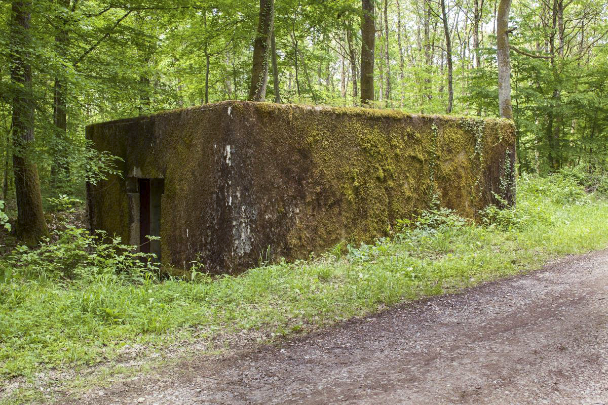 Ligne Maginot - CB249 - HELMREICH 2 - (Blockhaus pour canon) - 