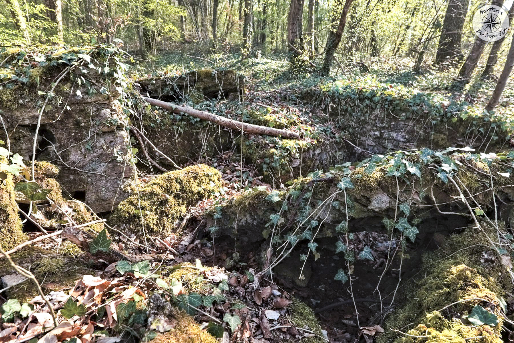 Ligne Maginot - BOIS DE LA HEURETTE - (Blockhaus de type indéterminé) - 