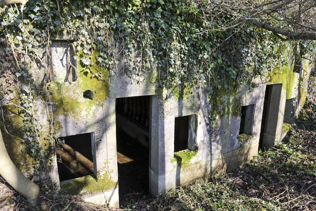 Ligne Maginot - BOIS de CALVERT (PC) - Le PC à deux alvéoles