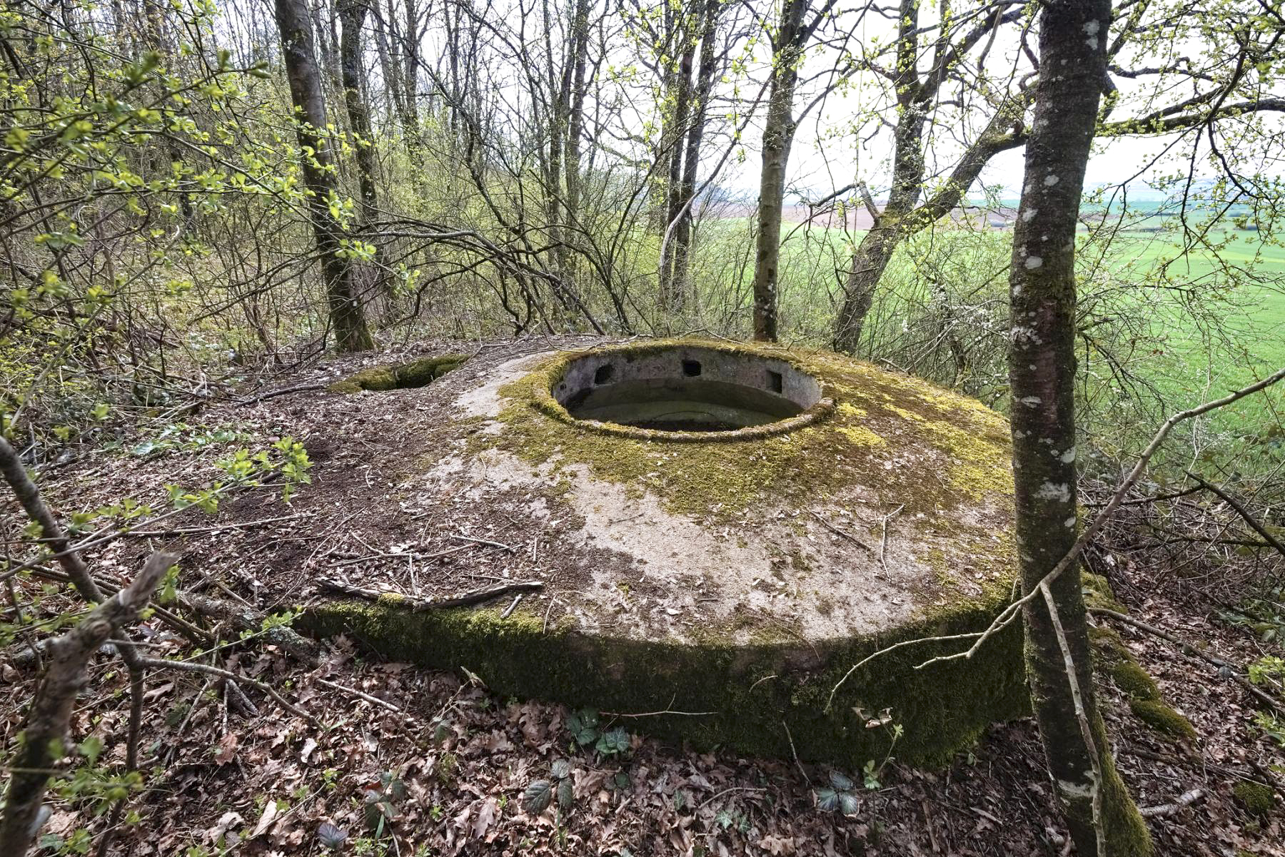 Ligne Maginot - DT24B - (Cuve pour arme d'infanterie) -  - Thierry Caland