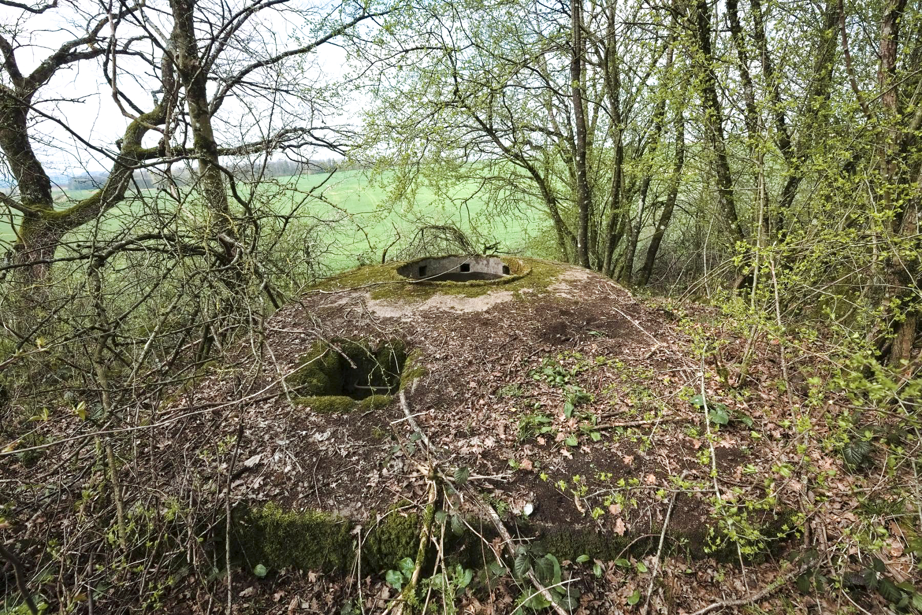 Ligne Maginot - DT24B - (Cuve pour arme d'infanterie) -  - Thierry Caland