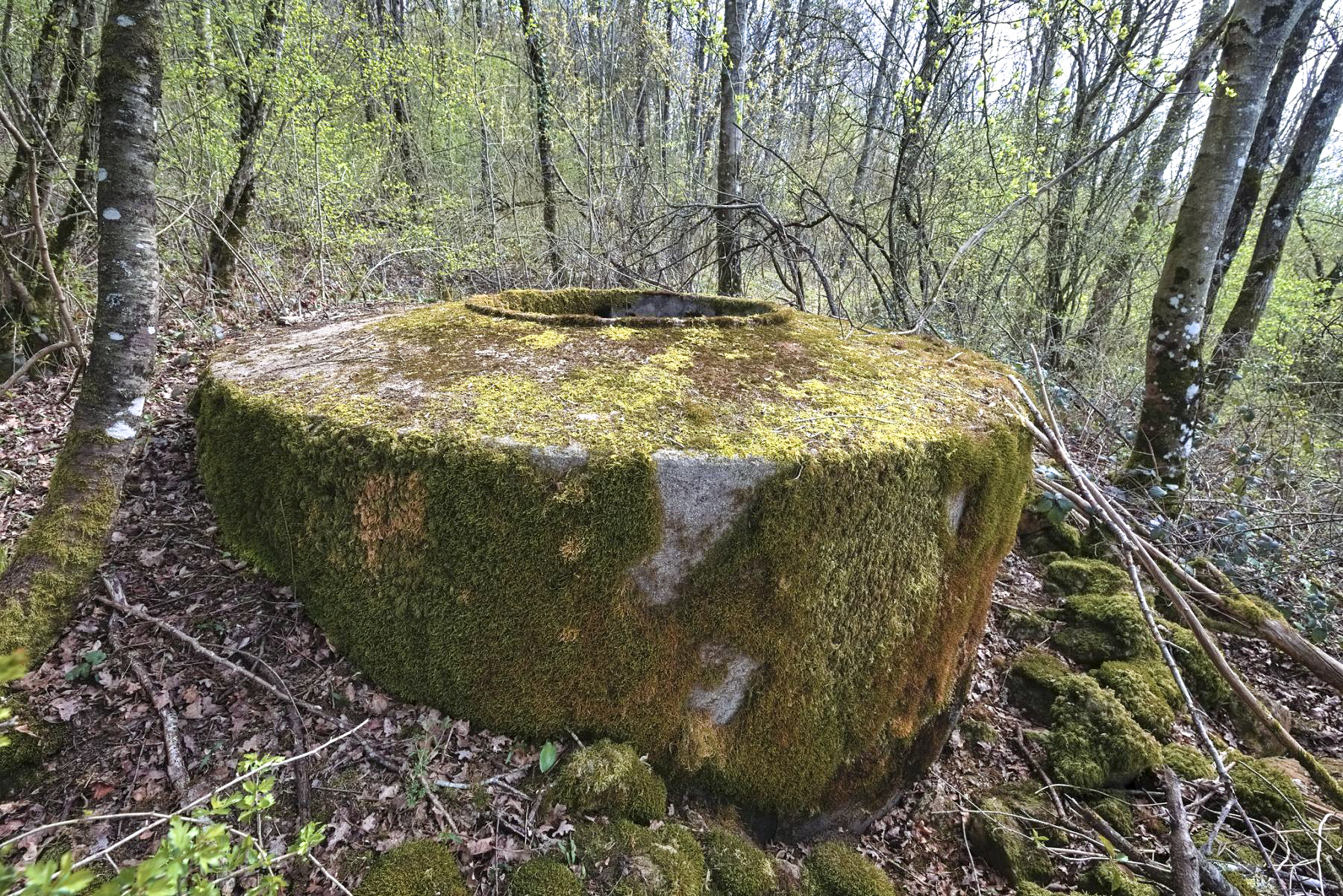 Ligne Maginot - DT24B - (Cuve pour arme d'infanterie) -  - Thierry Caland